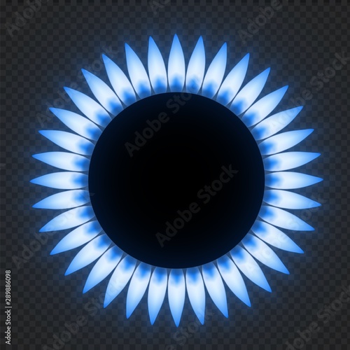 Gas stove flame. Realistic natures blue fire light effects. Vector illustrations flower burner plate flame isolated on transparent background