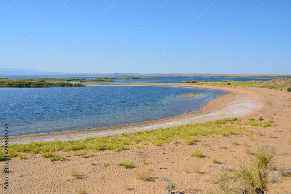 Lac Aydar Désert Kyzylkum Ouzbékistan