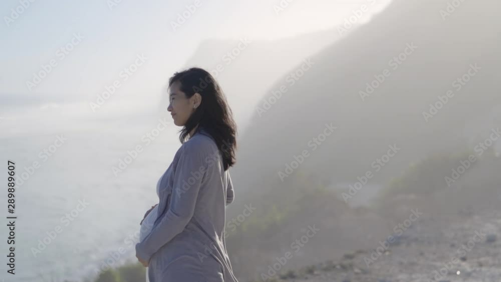 beautiful asian pregnant woman on the beach. carefree maternity woman beautiful asian pregnant woman on the beach. carefree maternity woman