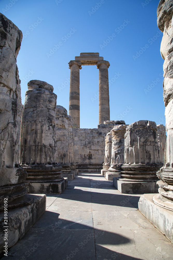ruins of Apollo Temple, Didim, Aydin Province, Turkey.