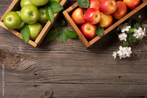 Ripe red and green apples with branch of white flowers in wooden box on a wooden table