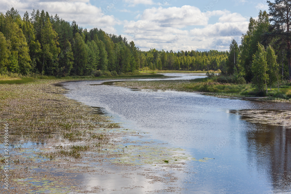 The quiet curved river with marshy banks flows through the forest, region of North Savo in Finland The quiet curved river with marshy banks flows through the forest, region of North Savo in Finland