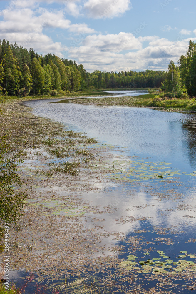The quiet curved river with marshy banks flows through the forest, region of North Savo in Finland