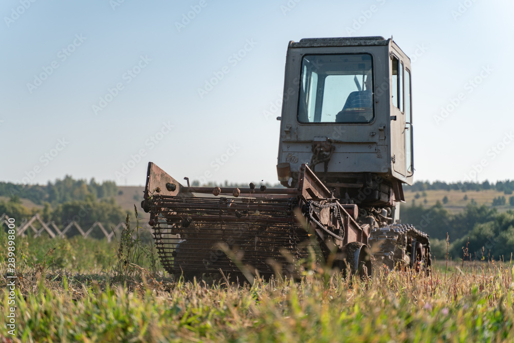 Naklejka premium A tractor in a field harvests potatoes