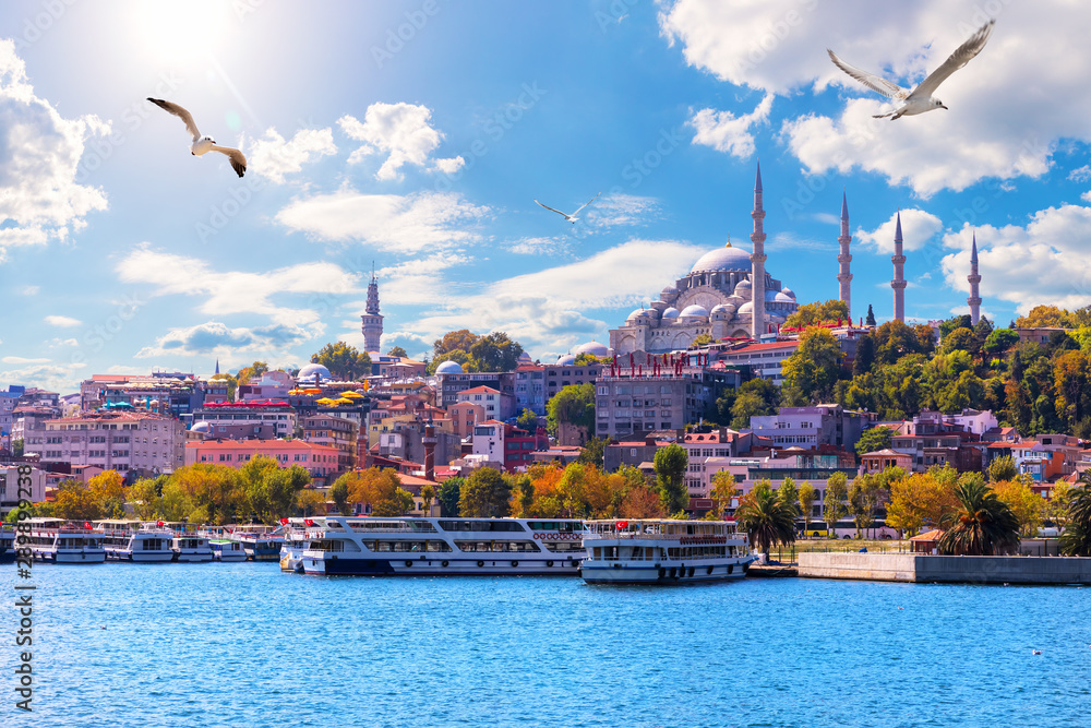 Fototapeta premium Meczet Sulejmana Wspaniałego, piękny widok z zatoki Złoty Róg, Istambuł, Turcja