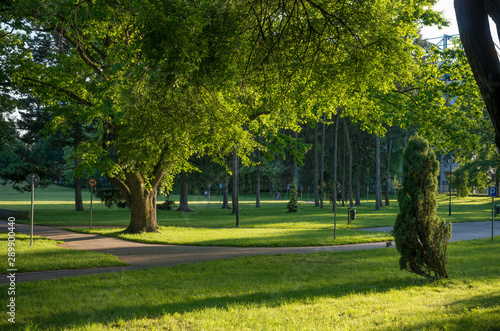 Green park sunny afternoon