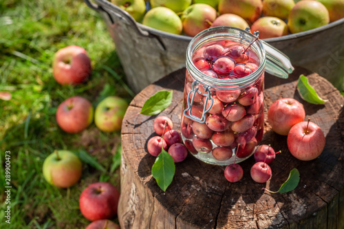 Preparation for canned apples in the jar in garden photo