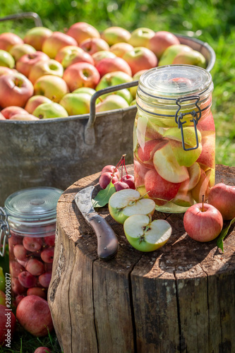 Ingredients for canned homemade apples in the jar photo