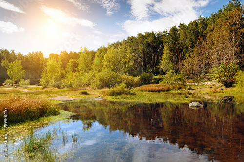 Beautiful pond around trees