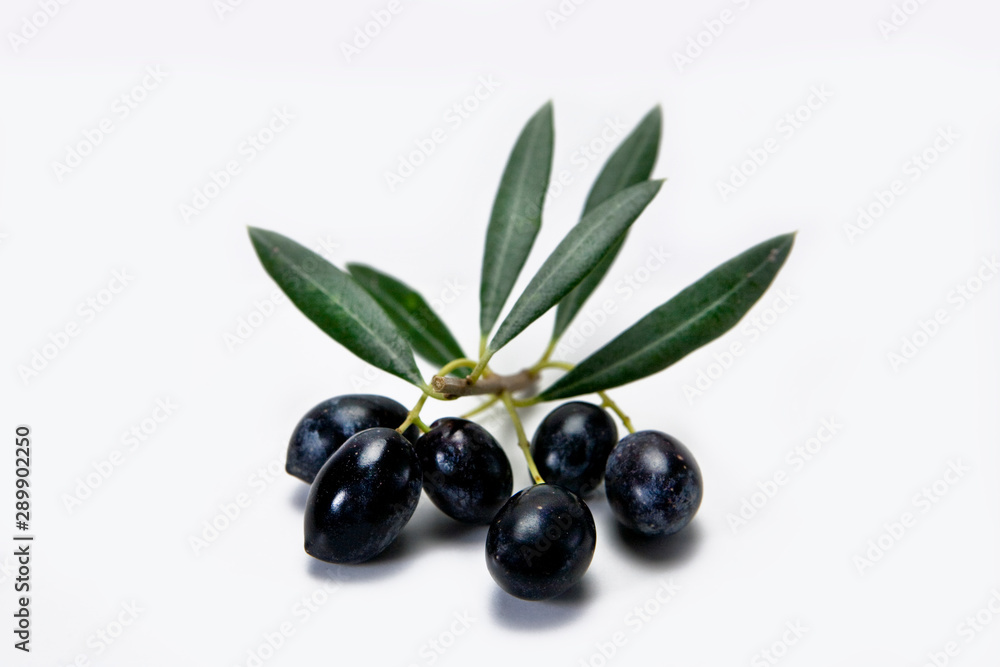 Ripe black olives with leaves on a white background Ripe black olives with leaves on a white background