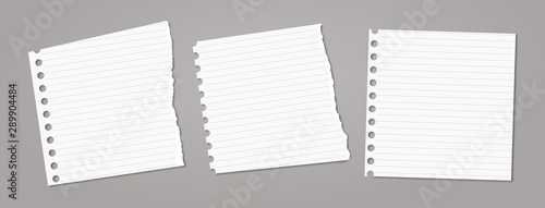 Set of torn white note, notebook paper pieces stuck on dark grey background. Vector illustration