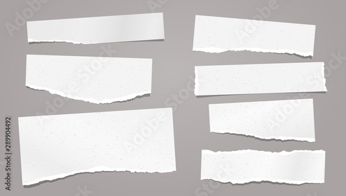 Set of torn white note, notebook paper strips and pieces with soft shadow stuck on grey background. Vector illustration