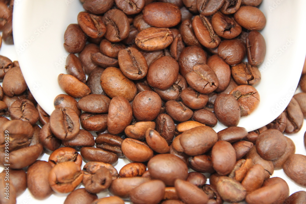 Fototapeta premium coffee beans on white background