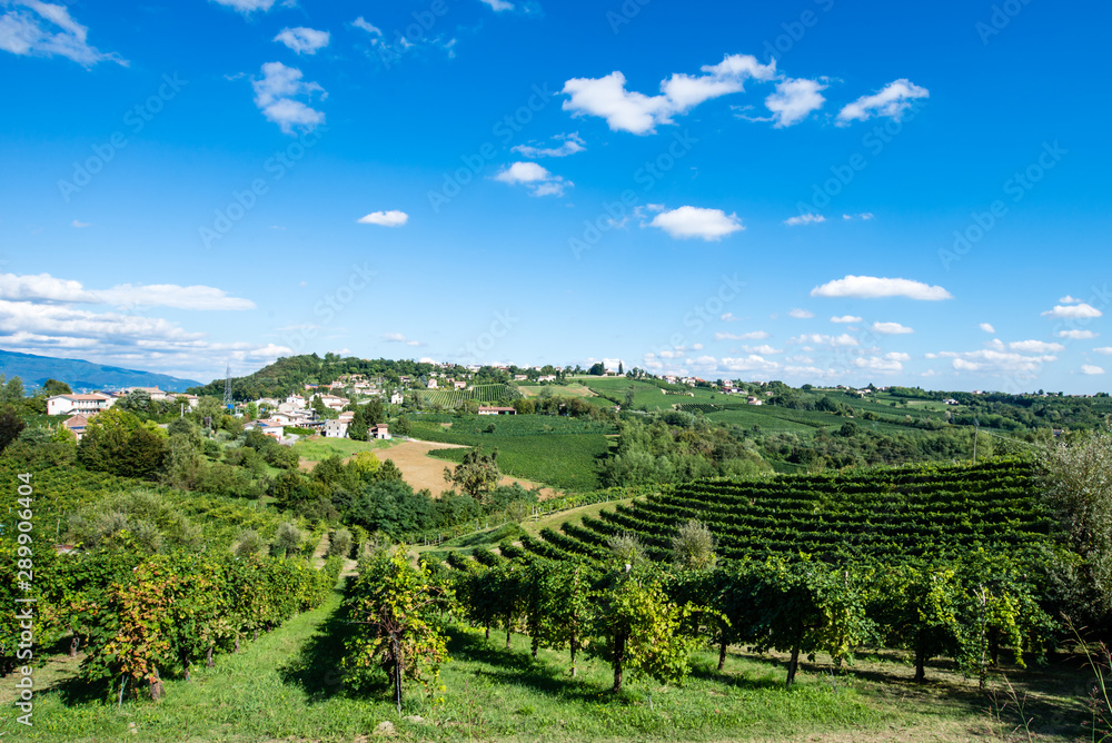 The way of the Prosecco wine, these hills are a Unesco world heritage