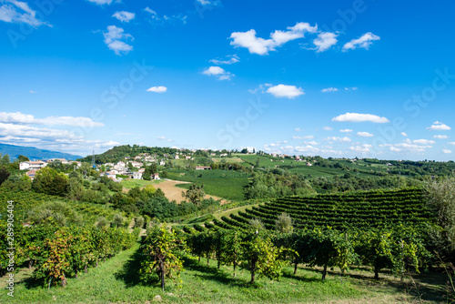 The way of the Prosecco wine, these hills are a Unesco world heritage