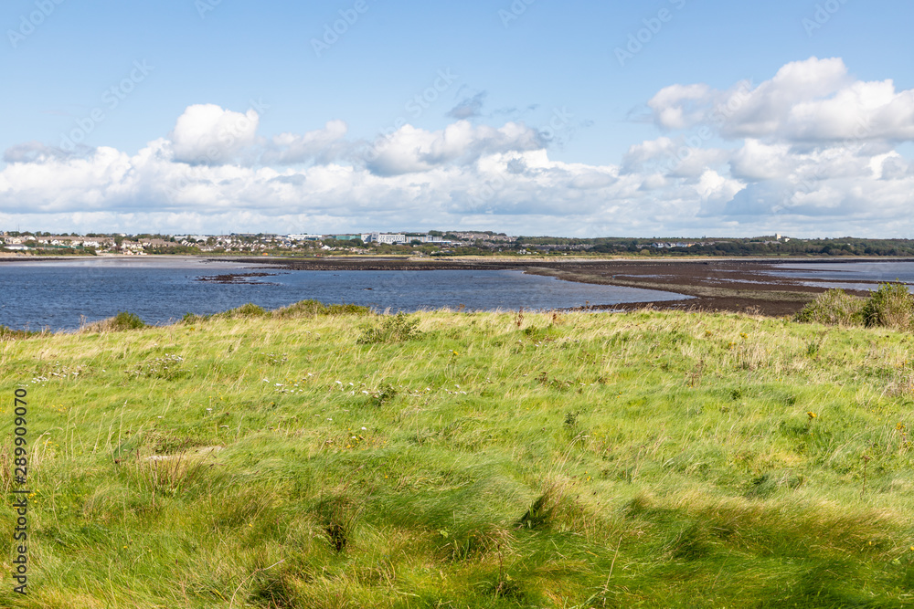 Vegetation in Hare Island with Galway city in background Vegetation in Hare Island with Galway city in background