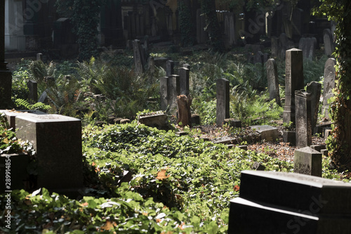 Jüdischer Friedhof an der Schönhauser Allee in Berlin Prenzlauer Berg photo