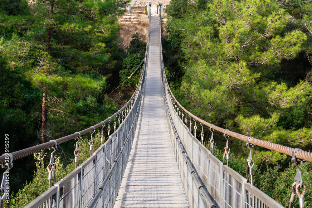 suspension bridge in the park nesher. israel