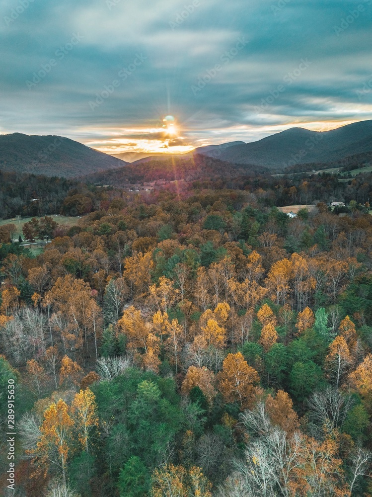 Fototapeta premium Vertical, portrait shot of a beautiful sunset in the mountains of Albemarle County, Virginia. The fall colors and seen throughout on the various trees & autumn glow produced by the suns rays.