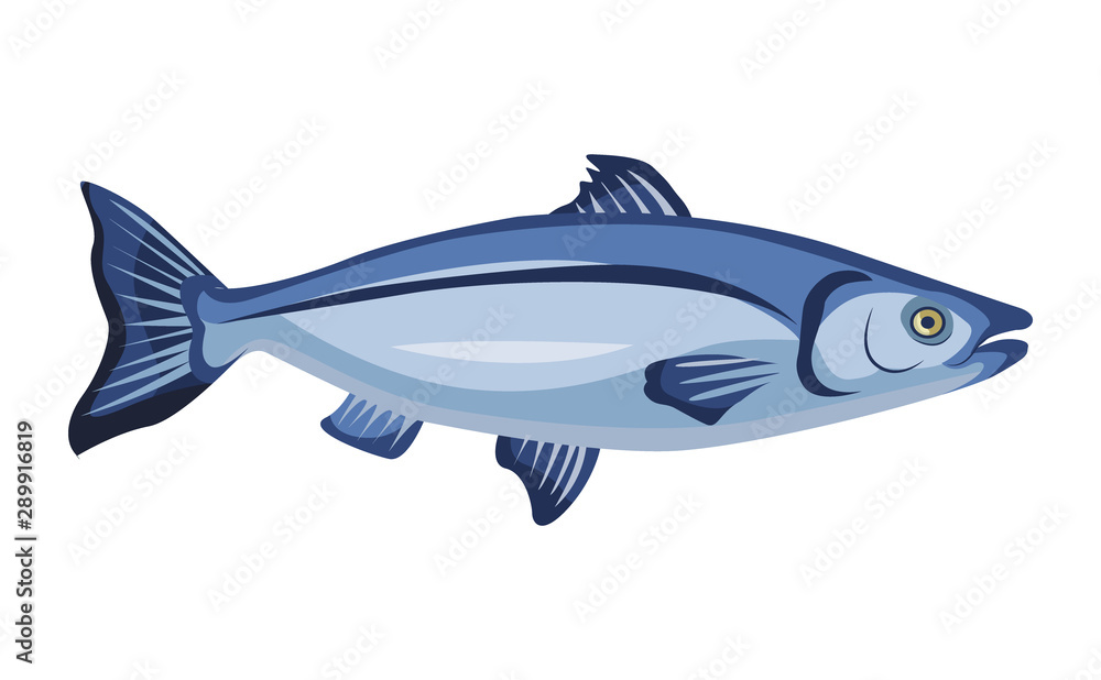 Raw whole salmon icon isolated on white background, fresh fish, product, healthy food, vector illustration. Raw whole salmon icon isolated on white background, fresh fish, product, healthy food, vector illustration.