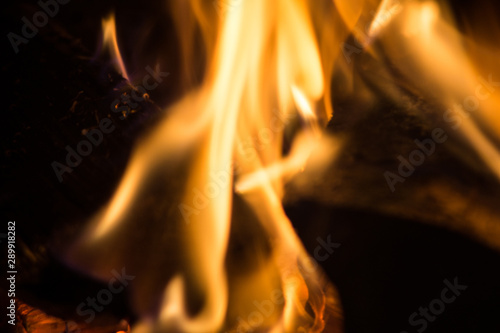 Bonfire, close-up of burning wood