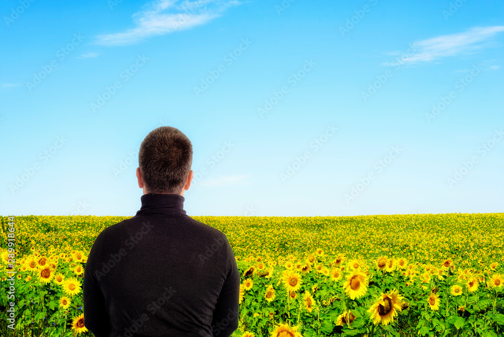 Man wearing a black top with back to camera facing out towards a sunflower field with copyspace area for farming and floral based ideas and designs