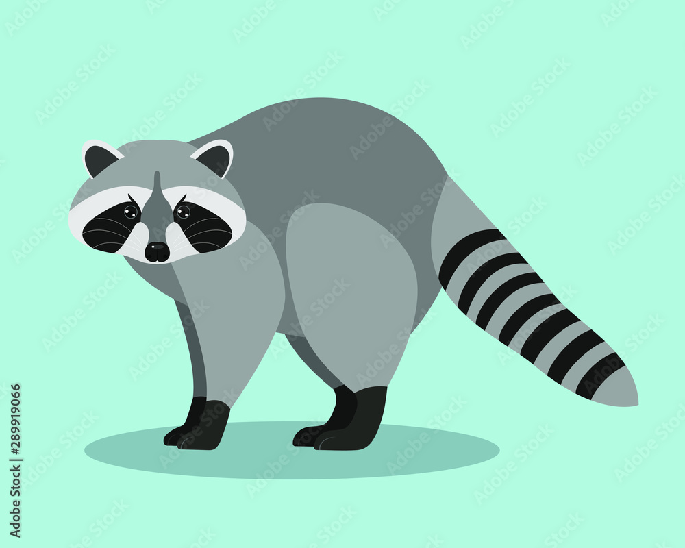 Funny raccoon on blue background, cartoon character, flat design. Animals, nature, zoo. Vector illustration. EPS10 Funny raccoon on blue background, cartoon character, flat design. Animals, nature, zoo. Vector illustration. EPS10