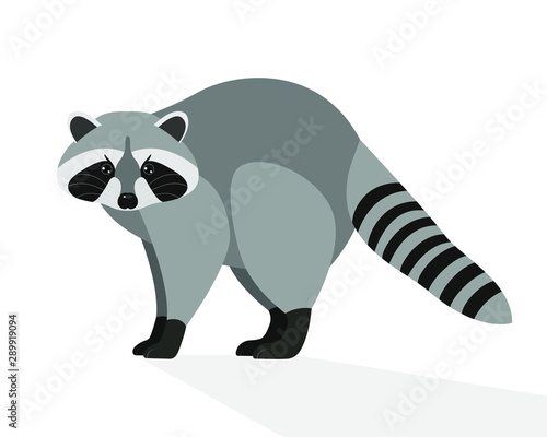 Funny  raccoon  cartoon character  flat design. Animals  nature  zoo. Vector illustration. EPS10