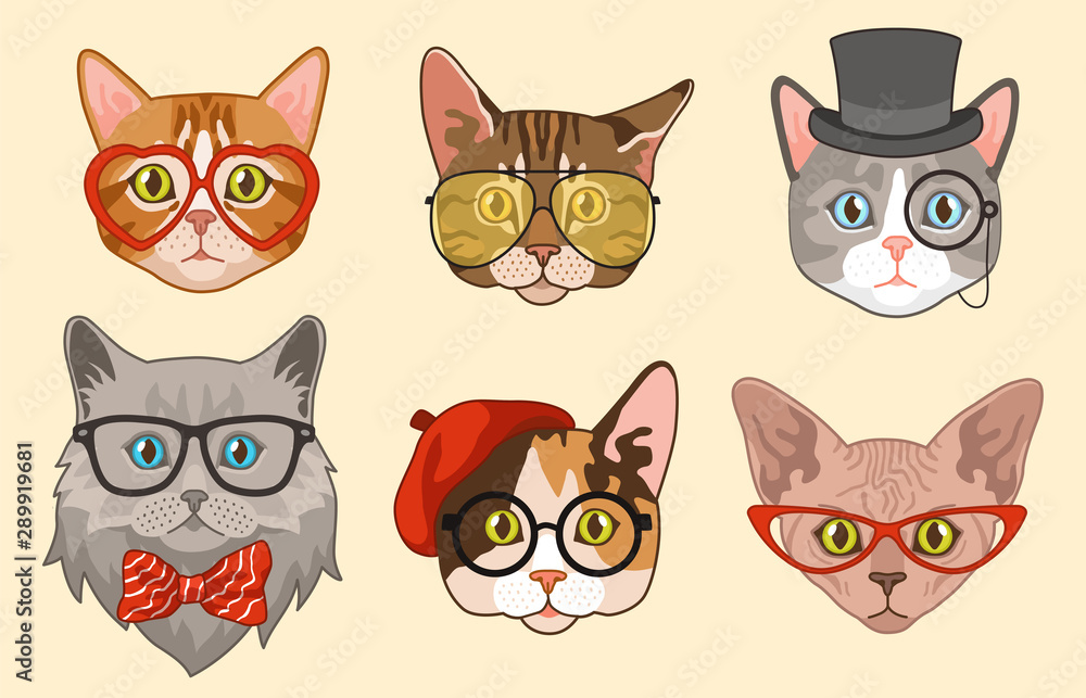 Cat heads. Cute funny cats avatar muzzles with accessories, glasses and hats, bow tie. Happy hipster pets vector characters Cat heads. Cute funny cats avatar muzzles with accessories, glasses and hats, bow tie. Happy hipster pets vector characters