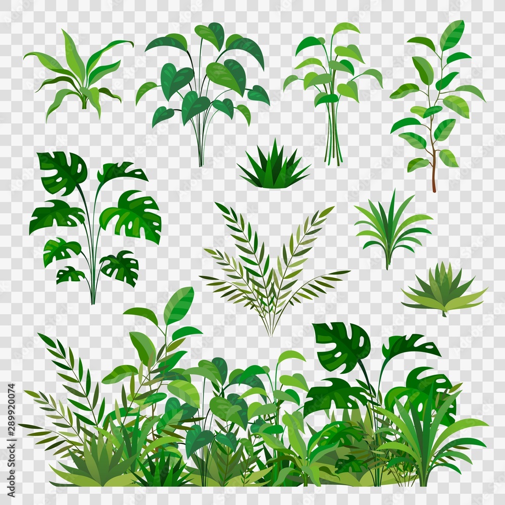 Fototapeta Green herbal elements. Decorative beauty nature ferns and leaf plants or herbs greens isolated vector set