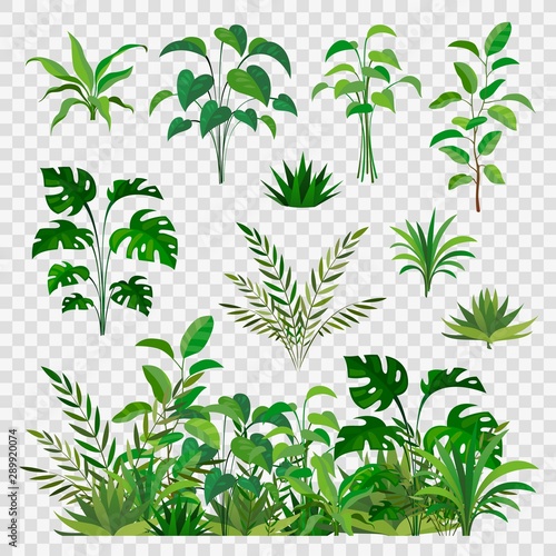 Fototapeta Green herbal elements. Decorative beauty nature ferns and leaf plants or herbs greens isolated vector set
