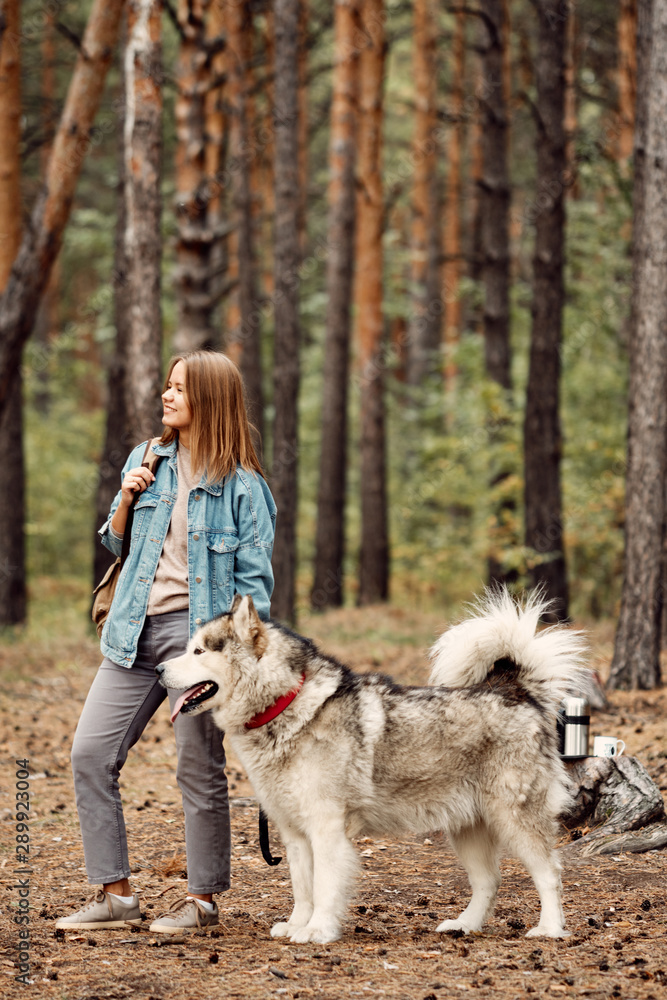 Woman Walking Dog. Young Girl with her Dog, Alaskan Malamute, Outdoor at Autumn. Domestic pet Woman Walking Dog. Young Girl with her Dog, Alaskan Malamute, Outdoor at Autumn. Domestic pet