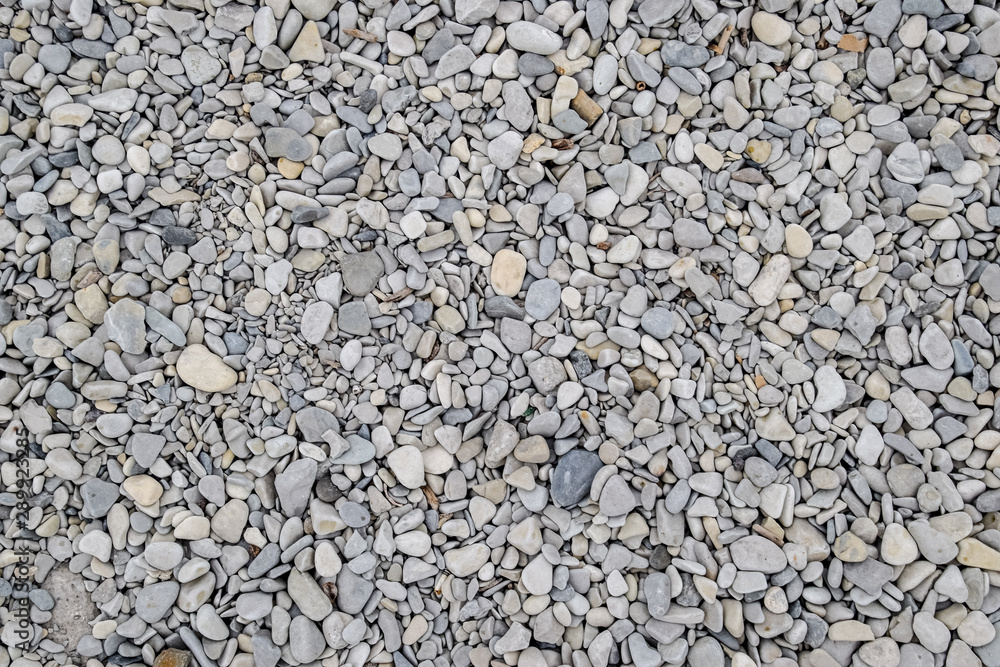Background texture pebble on the seashore Background texture pebble on the seashore