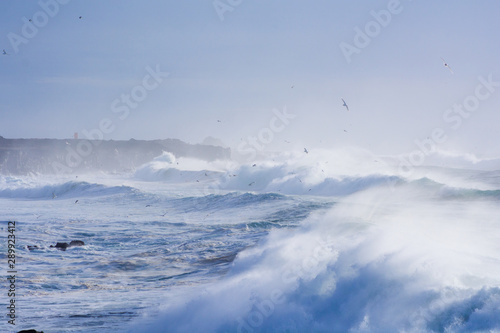Stormy sea and huge waves on the southern Iceland shore