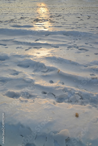 Snow surface with traces of people and solar path