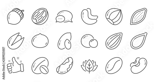 Nuts and seeds line icons. Hazelnut, Almond nut and Peanut. Walnut, Brazil nut, Pistachio icons. Cacao and Cashew nuts. Linear set. Quality line set. Vector