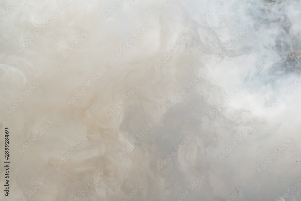 Fototapeta premium Thick smoke from wood chips combustion