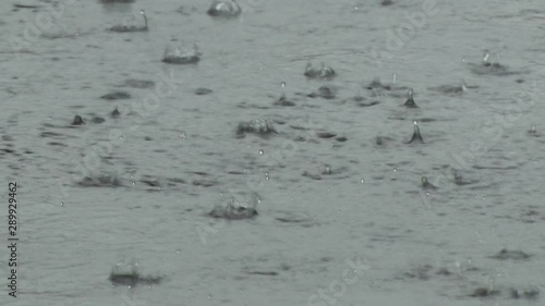 Closeup of Raindrops Pelting Pavement in a Light Summer Shower in Florida
