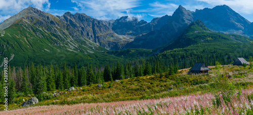 Fototapeta Naklejka Na Ścianę i Meble -  Hala Gąsienicowa, Tatry - sierpień 2019