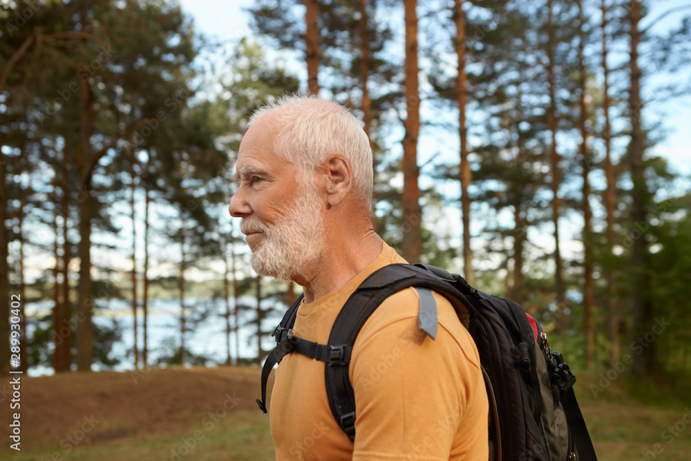 Side view of unshaven bald male pensioner with backpack hiking outdoors having thoughtful facial expression, choosing healthy active lifestyle, enjoying fresh air, walking among pine trees Side view of unshaven bald male pensioner with backpack hiking outdoors having thoughtful facial expression, choosing healthy active lifestyle, enjoying fresh air, walking among pine trees