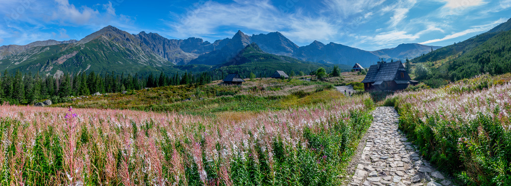 Hala Gąsienicowa, Tatry - sierpień 2019