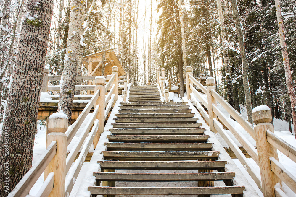 Beautiful winter landscape. A view of the stairs in the park or forest. Wooden staircase in the park in winter, around everything in the snow Beautiful winter landscape. A view of the stairs in the park or forest. Wooden staircase in the park in winter, around everything in the snow