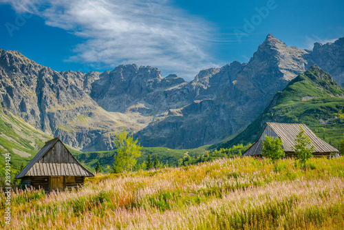 Fototapeta Naklejka Na Ścianę i Meble -  Hala Gąsienicowa, Tatry - sierpień 2019