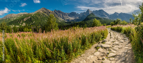 Fototapeta jesień panorama góra