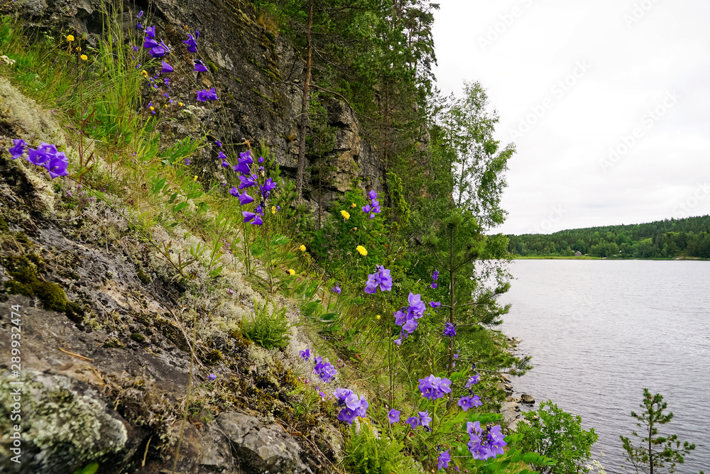 Fototapeta premium Bells on the mountainside in Ladoga skerries .