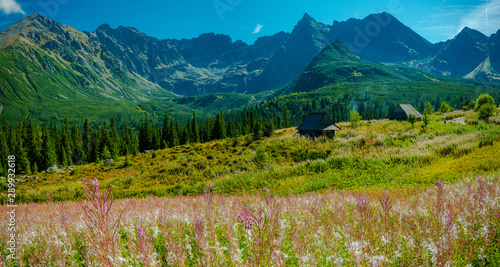 Fototapeta Naklejka Na Ścianę i Meble -  Hala Gąsienicowa, Tatry - sierpień 2019