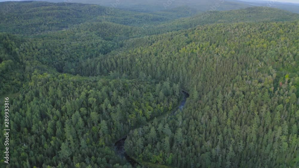 River curving through a late summer forest just after sunset AERIAL River curving through a late summer forest just after sunset AERIAL
