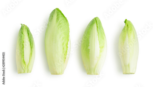 Cuadro en lienzo Fresh endive (Cichorium endivia)