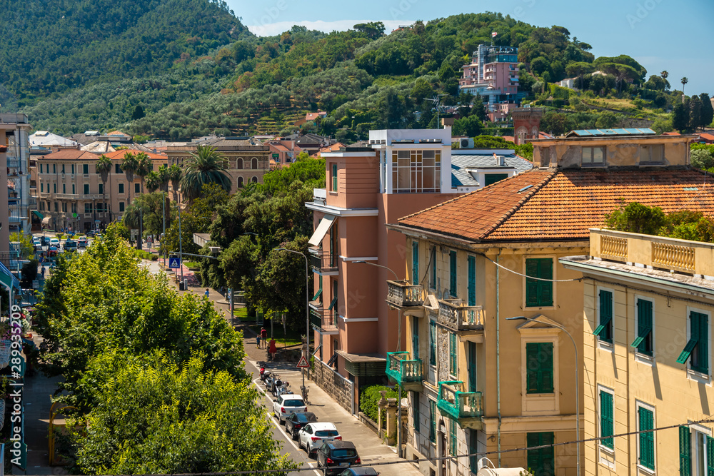 Fototapeta premium Top view of a street with low houses with red tiles. green Street. hill view