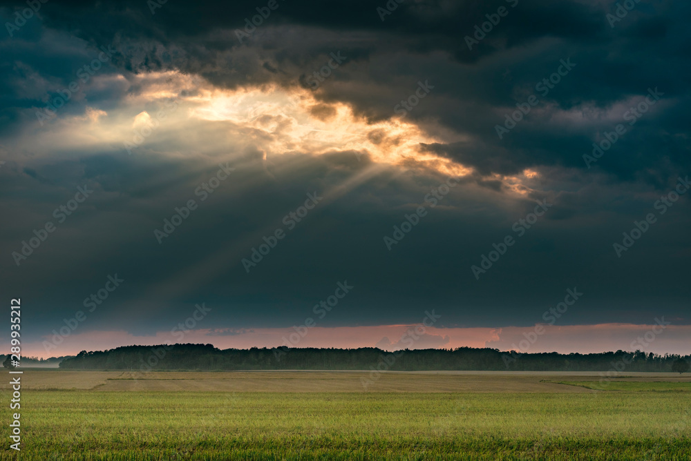 Dark storm sky and open agriculture field during sunset. 
